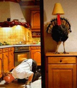 Hiding Turkey