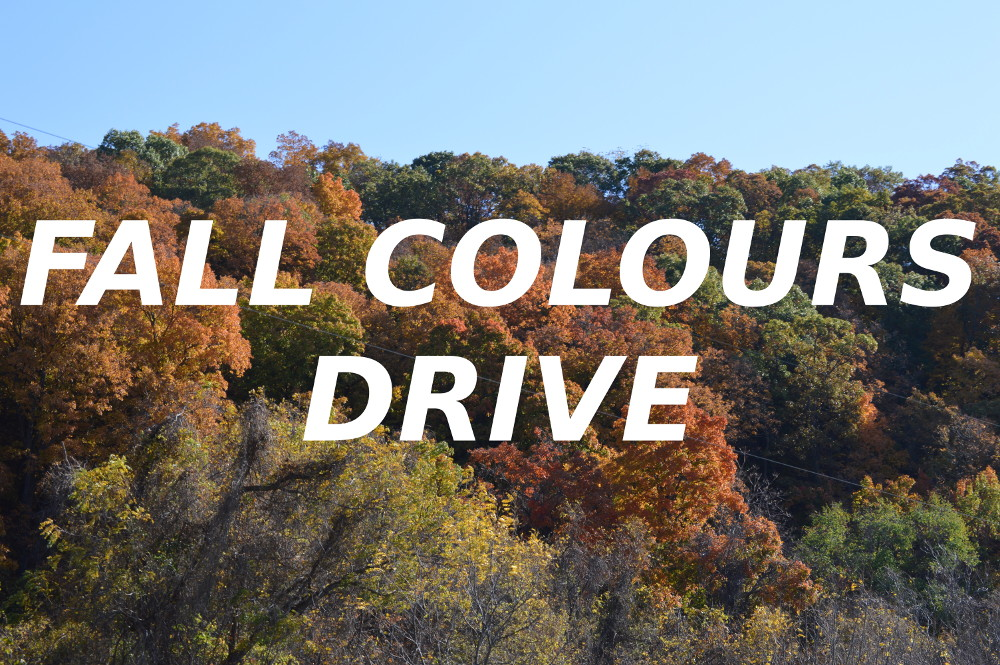 2024 Annual SLTOA Fall Colours Drive