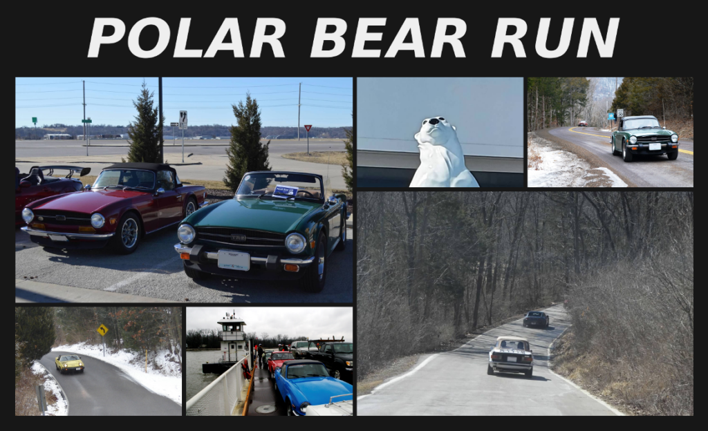 Polar Bear Run showcase